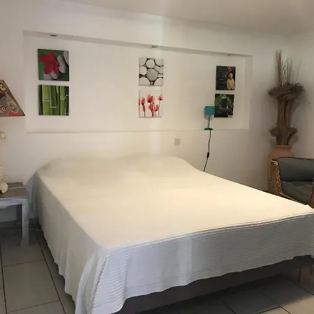 Apartman Charmant Rez De Avec Vue Imprenable Et Piscine Monte (Corsica)